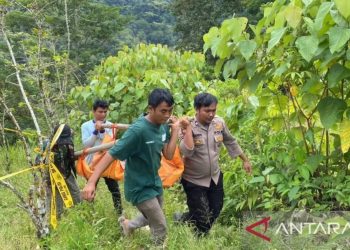 Diduga Cekcok Terkait Penutupan Jalan ke Ladang Kopi, Warga Nainggolan  Samosir Tewas Dibacok
