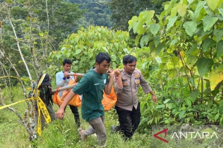Diduga Cekcok Terkait Penutupan Jalan ke Ladang Kopi, Warga Nainggolan Samosir Tewas Dibacok