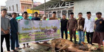 Peringati Idul Adha, Kejari Gunungsitoli Serahkan Hewan Kurban