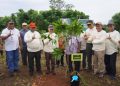 Kejati Papua Barat Sambut HBA Ke-64, dengan Menanam Pohon 