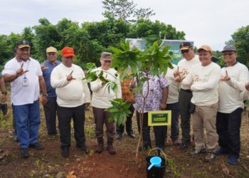 Kejati Papua Barat Sambut HBA Ke-64, dengan Menanam Pohon 