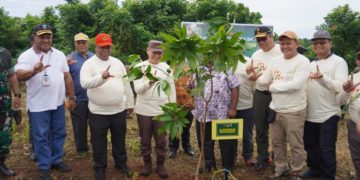 Kejati Papua Barat Sambut HBA Ke-64, dengan Menanam Pohon 