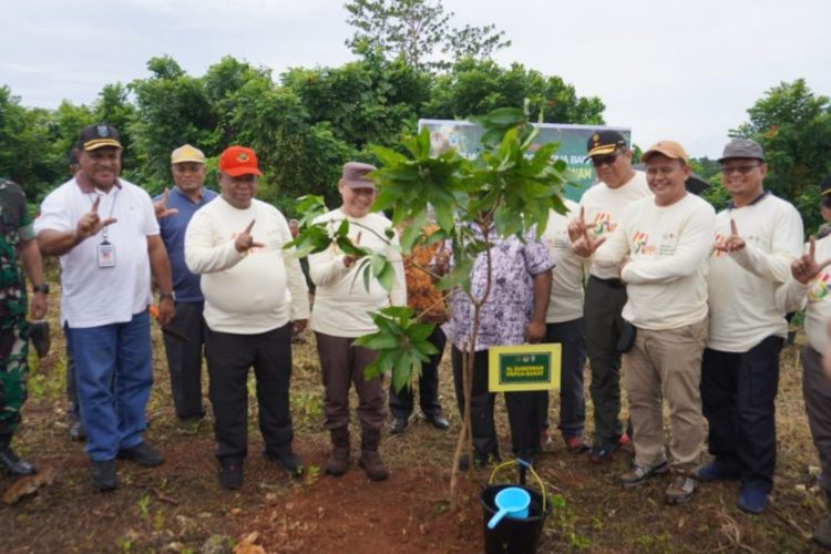 Kejati Papua Barat Sambut HBA Ke-64, dengan Menanam Pohon 