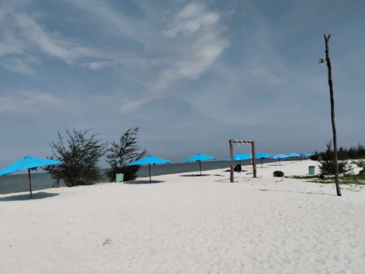 Keindahan Alam Objek Wisata Pasir Putih di Pantai Mangrove Serdangbedagai