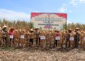 Polres Labuhanbatu, Pematangsiantar dan Tapteng Panen Jagung Dukung Swasembada Pangan Nasional