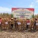 Polres Labuhanbatu, Pematangsiantar dan Tapteng Panen Jagung Dukung Swasembada Pangan Nasional