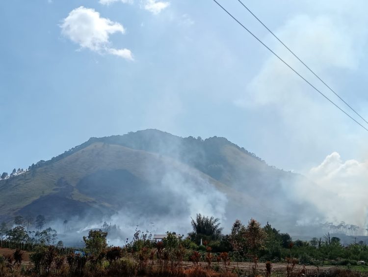 Kawasan Hutan Sipisopiso atau Tanduk Benua Simalungun Terbakar