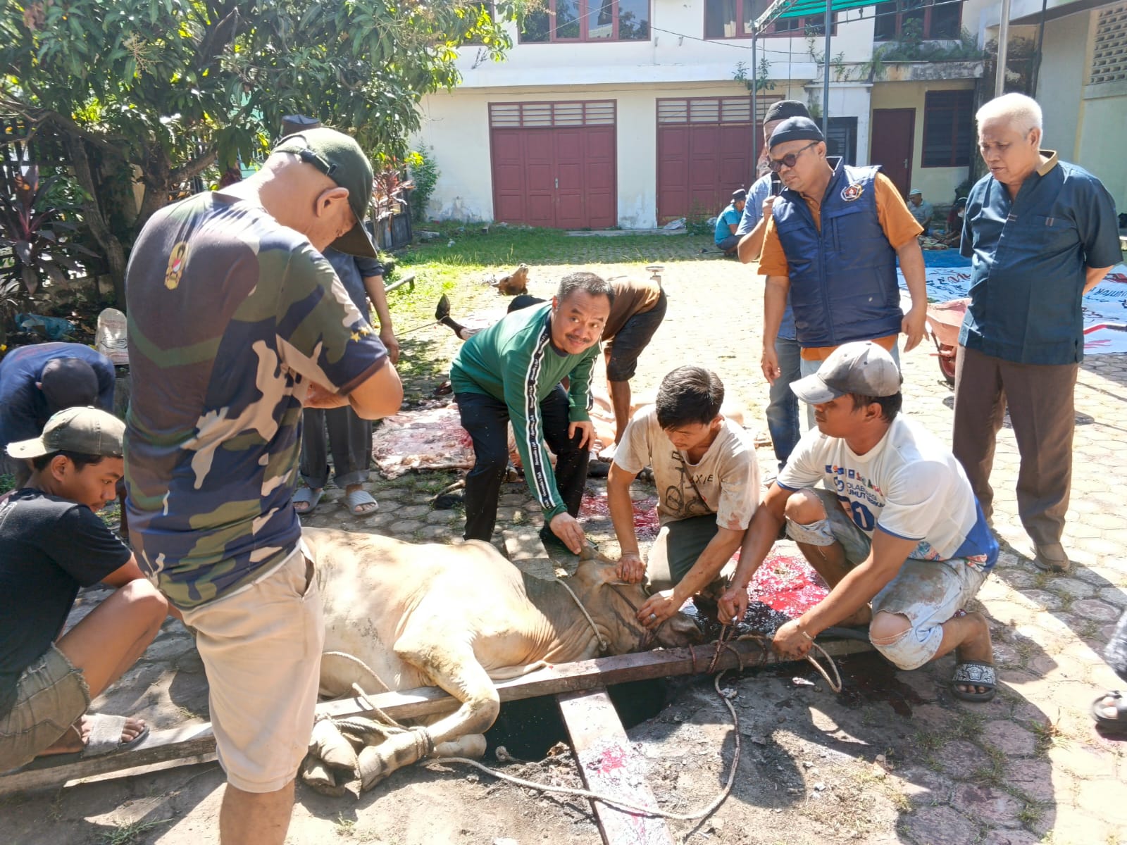 PWI Sumut Sembelih 6 Hewan Kurban Hari Raya Idul Adha 1447 H